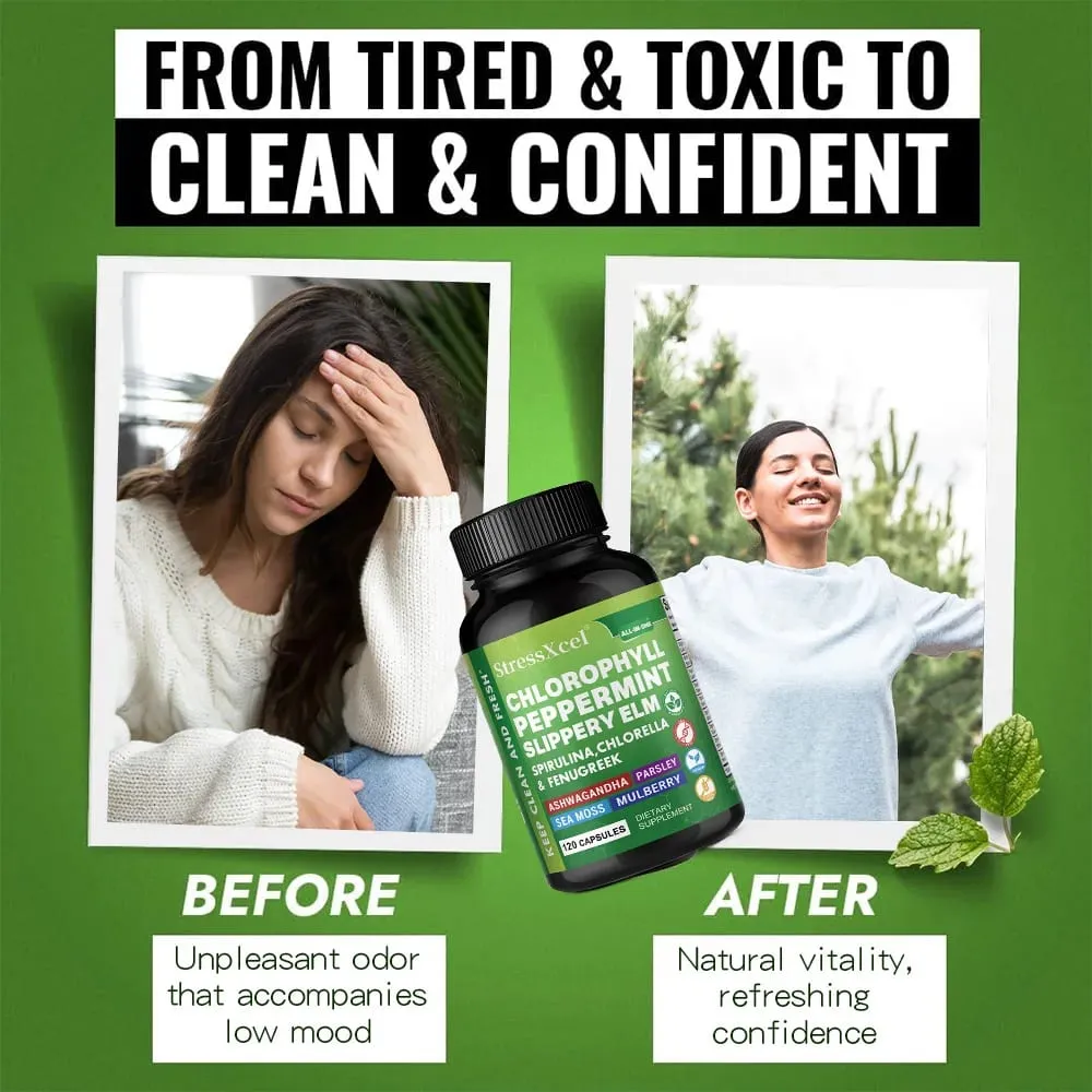 Chlorophyll Capsules with Peppermint - Supports Internal Cleanse Gut Health pH Balance Natural Freshness & Daily Wellness — image 5
