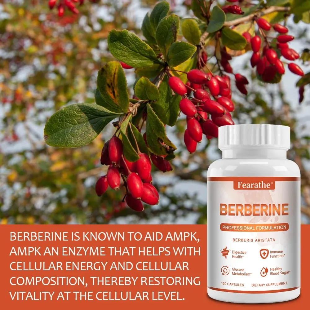 Premium Berberine - Supports Immune System Weight Management Digestive Health and GI Function Supplement 120 Capsules — image 3