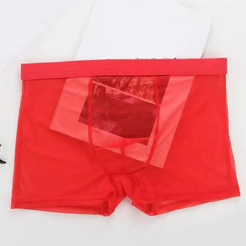 Bóxers transparentes para hombre, calzoncillos transparentes de malla Sexy, cintura baja, seda helada, bragas refrescantes finas, ropa interior para hombre