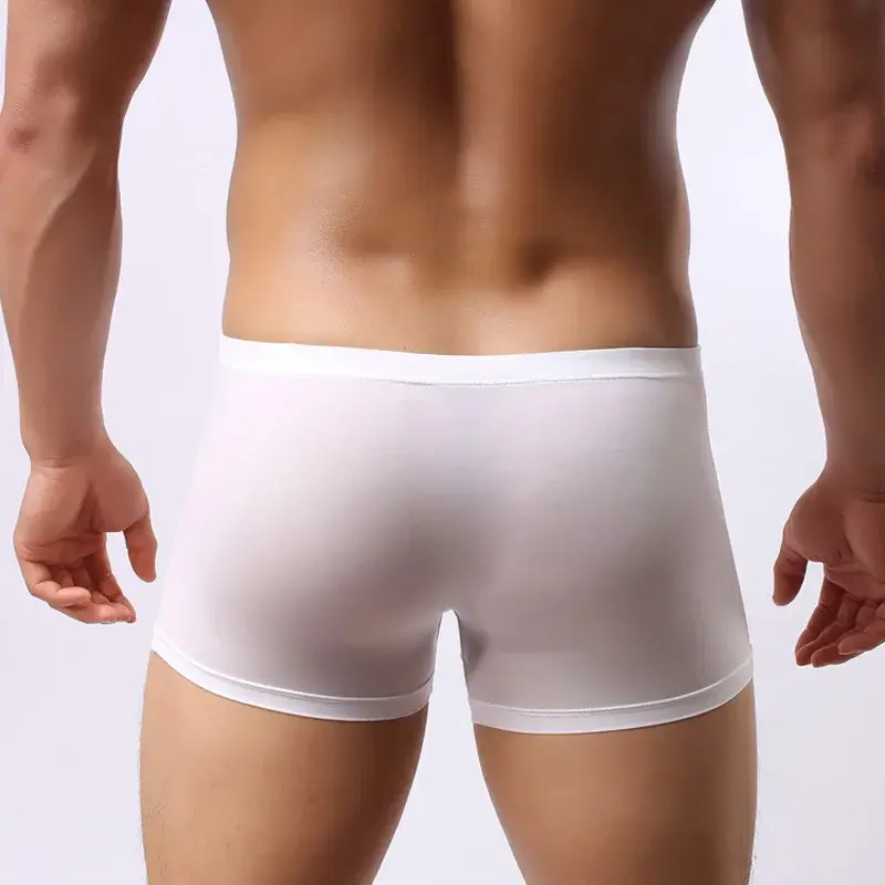 Sexy Elephant Nose Boxers Men's Transparent Bulge Penis Pouch Gay Underwear Men Ultra-thin Ice Silk Panties Fetish Boxershorts — image 3
