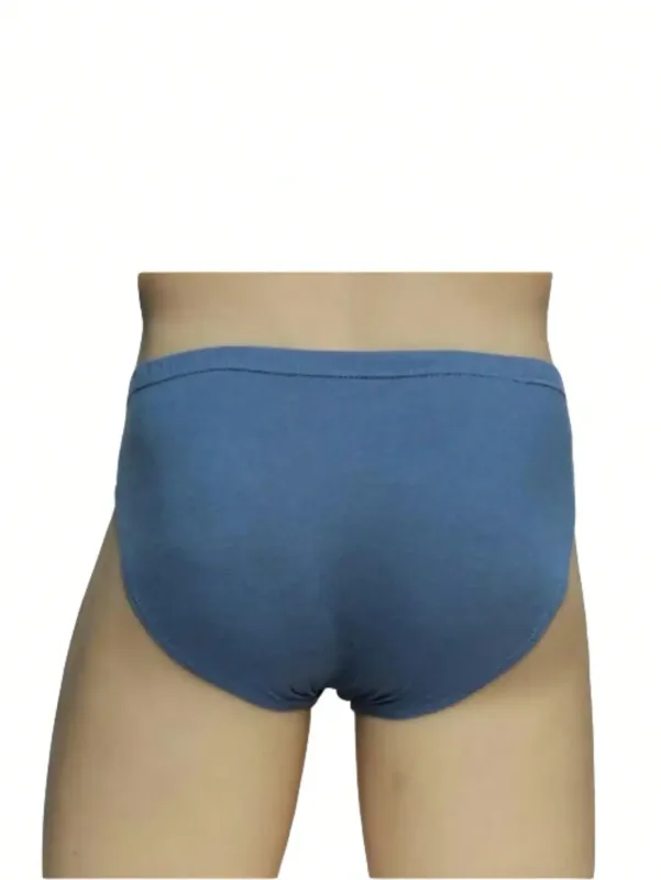 6pcs Random100% Cotton Mens Briefs Plus Size Underwear 5XL/6XL Men's Breathable Solid Sexy Comfortable Shorts — image 13