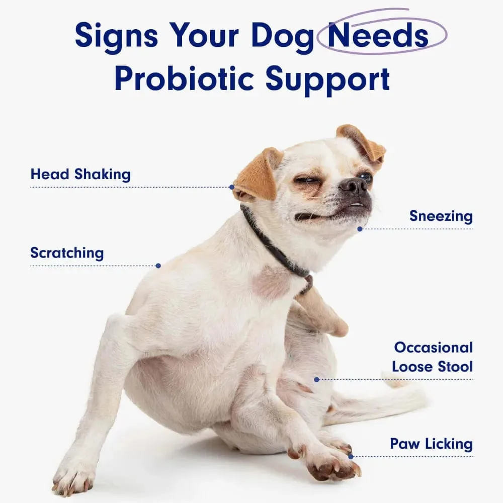 Probiotics Chews for Dogs Support Gut Health Occasional Diarrhea Digestive Health & Seasonal Allergies - 30 Soft Chews — image 3