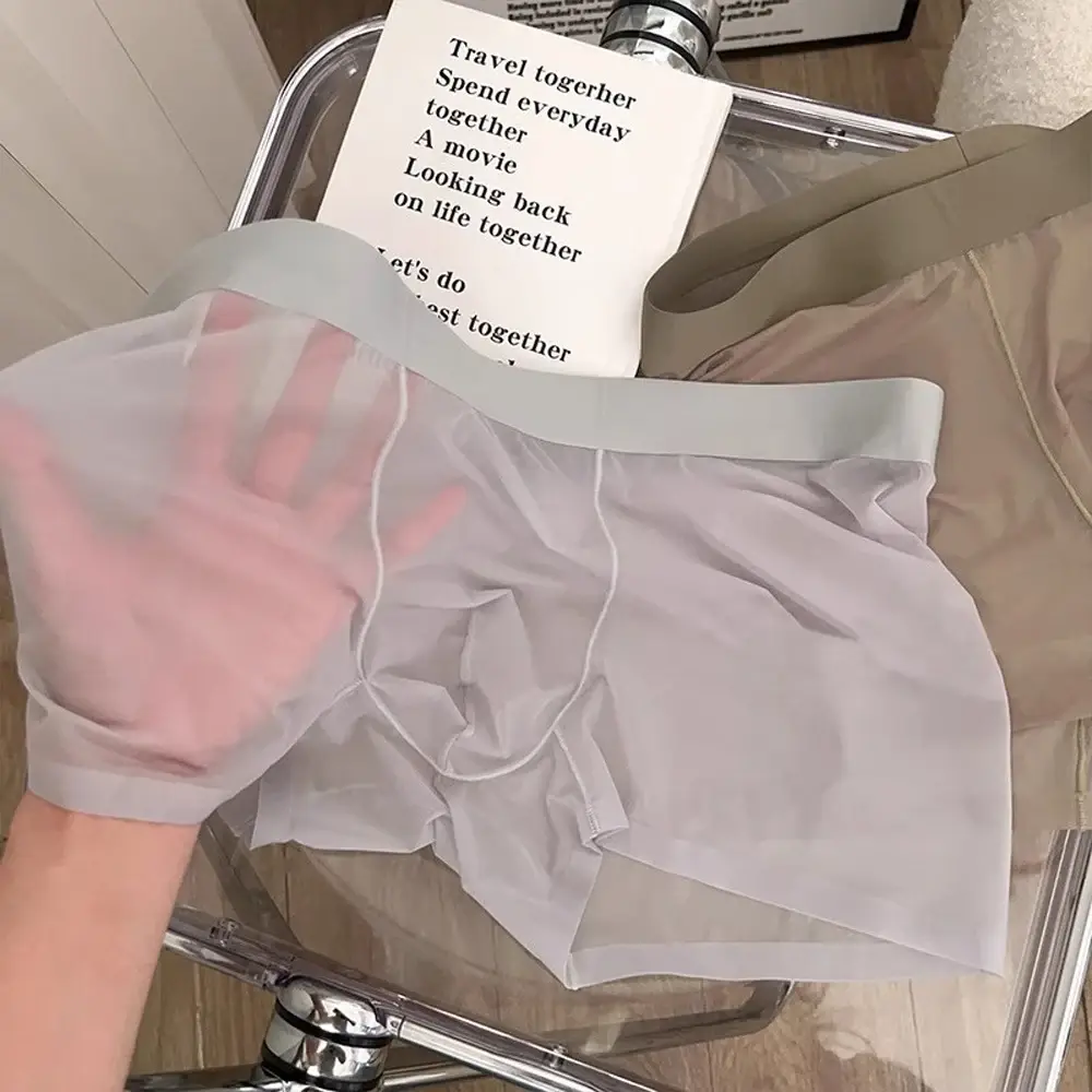 Men Sexy Elastic Men's Panties Quick Drying Ultra-thin Boxer Shorts Transparent Boxers Underwear U Bulge Pouch Sexy Und — image 12