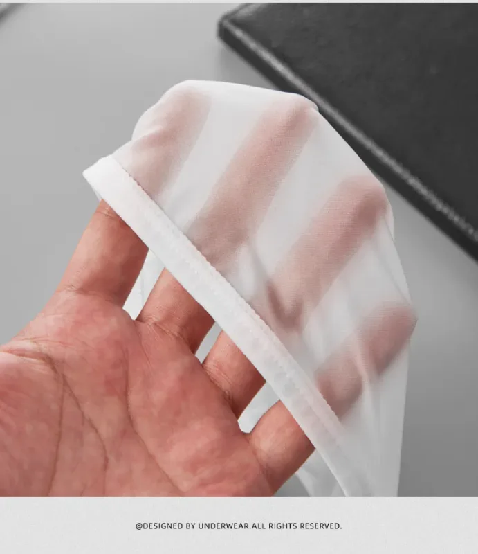 Men's Sexy Underwear Thin Ice Silk Translucent Briefs U Pouch Ropa Interior Hombre Male Panties