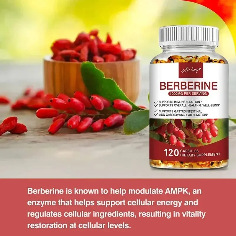 Berberine Capsules - Support Overall Health and Immune Function Promote Digestion Enhance Energy Anti-oxidant and Anti-aging — image 4