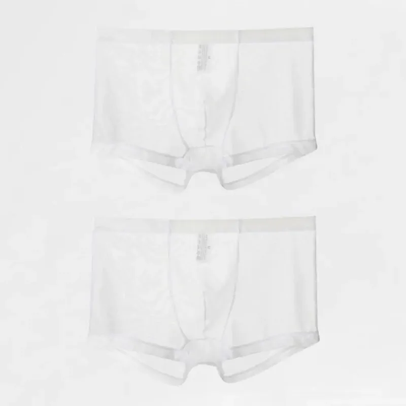 Bóxers transparentes para hombre, calzoncillos transparentes de malla Sexy, cintura baja, seda helada, bragas refrescantes finas, ropa interior para hombre