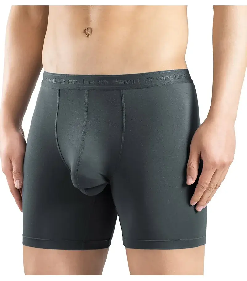 David Archy 3 Pack Mens ชุดชั้นในกางเกงบ็อกเซอร์ Basic MicroModal Soft Breathable Mens Dual Pouch Boxers Quick Dry กีฬาฟิตเนส — image 7