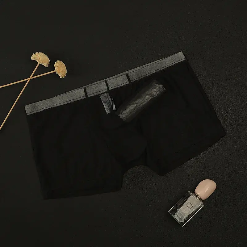 Erotic Men's Boxy Underwear Gays Sexy Low Waist Elephant Nose Boxer Shorts Thin Mesh Transparent Breathable Lightweight Panties — image 1