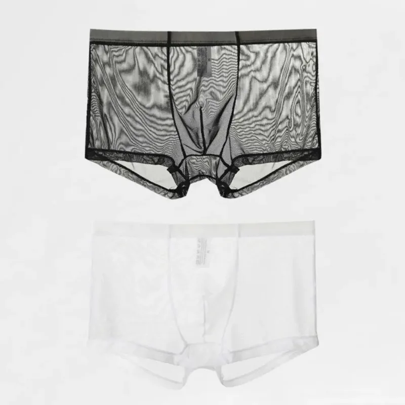 Bóxers transparentes para hombre, calzoncillos transparentes de malla Sexy, cintura baja, seda helada, bragas refrescantes finas, ropa interior para hombre