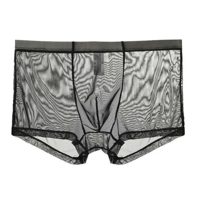 Bóxers transparentes para hombre, calzoncillos transparentes de malla Sexy, cintura baja, seda helada, bragas refrescantes finas, ropa interior para hombre