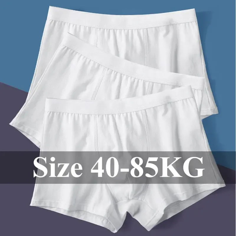 1pc/3pcs Set Men's Underwear Cotton Boxers Shorts U Pouch Panties Boy's Underpants Male Youth Clothing Homme Luxury Underware