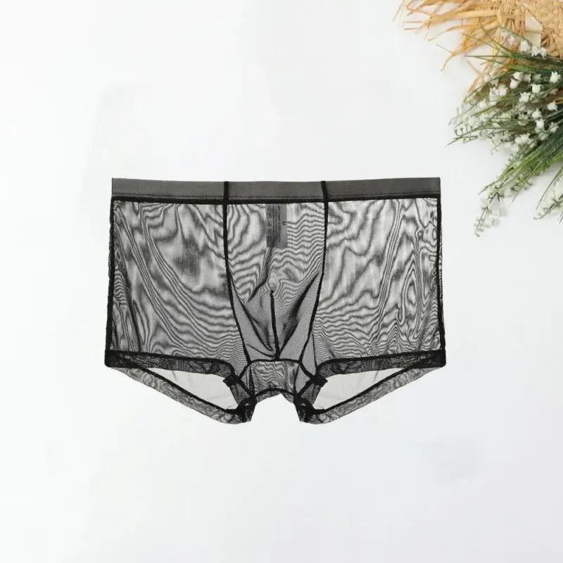 Bóxers transparentes para hombre, calzoncillos transparentes de malla Sexy, cintura baja, seda helada, bragas refrescantes finas, ropa interior para hombre