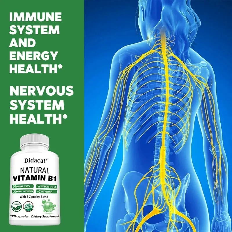 Didacat Vitamin B1 Helps The Immune System Nervous System Energy Support Dietary Supplement — image 3