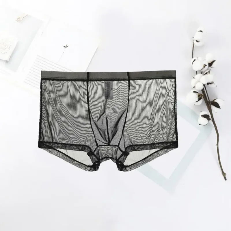 Bóxers transparentes para hombre, calzoncillos transparentes de malla Sexy, cintura baja, seda helada, bragas refrescantes finas, ropa interior para hombre