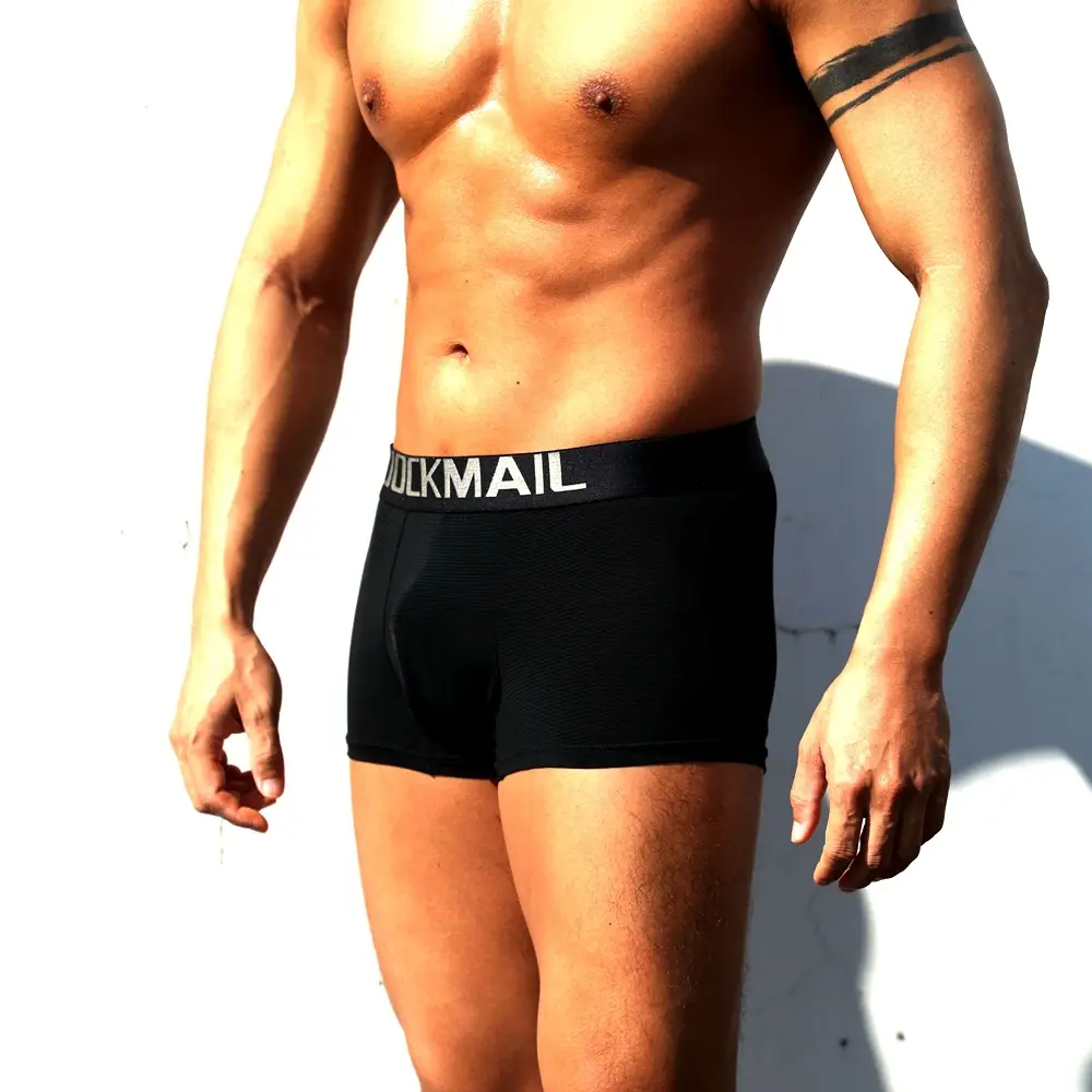Sexy Men Underwear Boxer Shorts Transparent Mesh Underpants Trunks Men Panties Low Waist Nylon Breathable Quick Drying — image 6