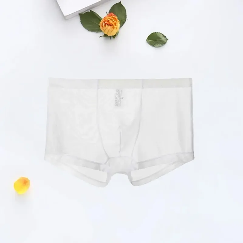 Bóxers transparentes para hombre, calzoncillos transparentes de malla Sexy, cintura baja, seda helada, bragas refrescantes finas, ropa interior para hombre
