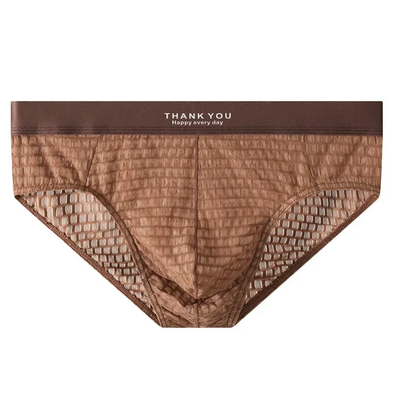 Transparent Mesh Underwear Male Ultra Thin Sheer Briefs Breathable Underpants Bulge Pouch Panties Soft Lingerie Low Rise Knicker