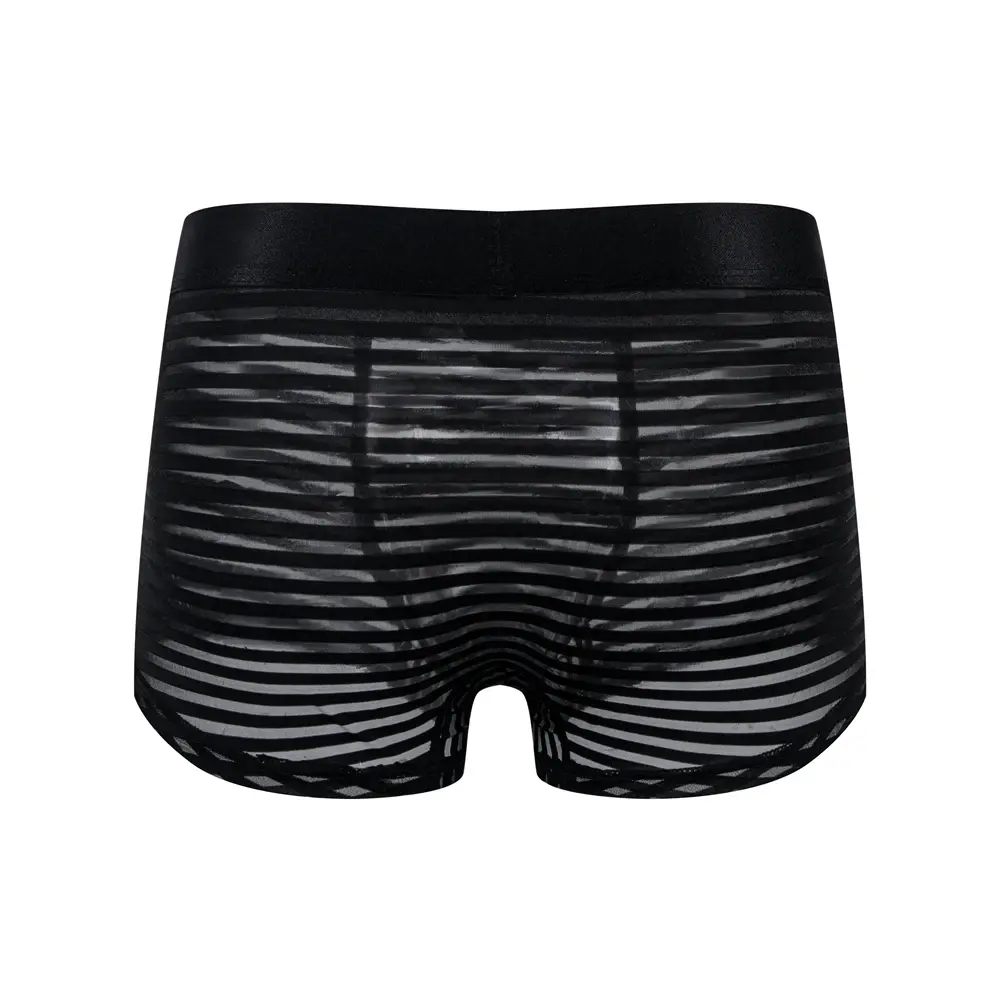 Sexy Men Underwear Boxer Shorts Transparent Mesh Underpants Trunks Men Panties Low Waist Nylon Breathable Quick Drying — image 12