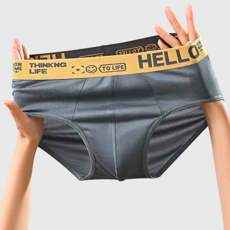 Random 2/5pcs/set Men's Briefs Sexy Men Underpant Four Season Fashionable Men Panties Plus Size L-5XL Sports Boxer Shorts
