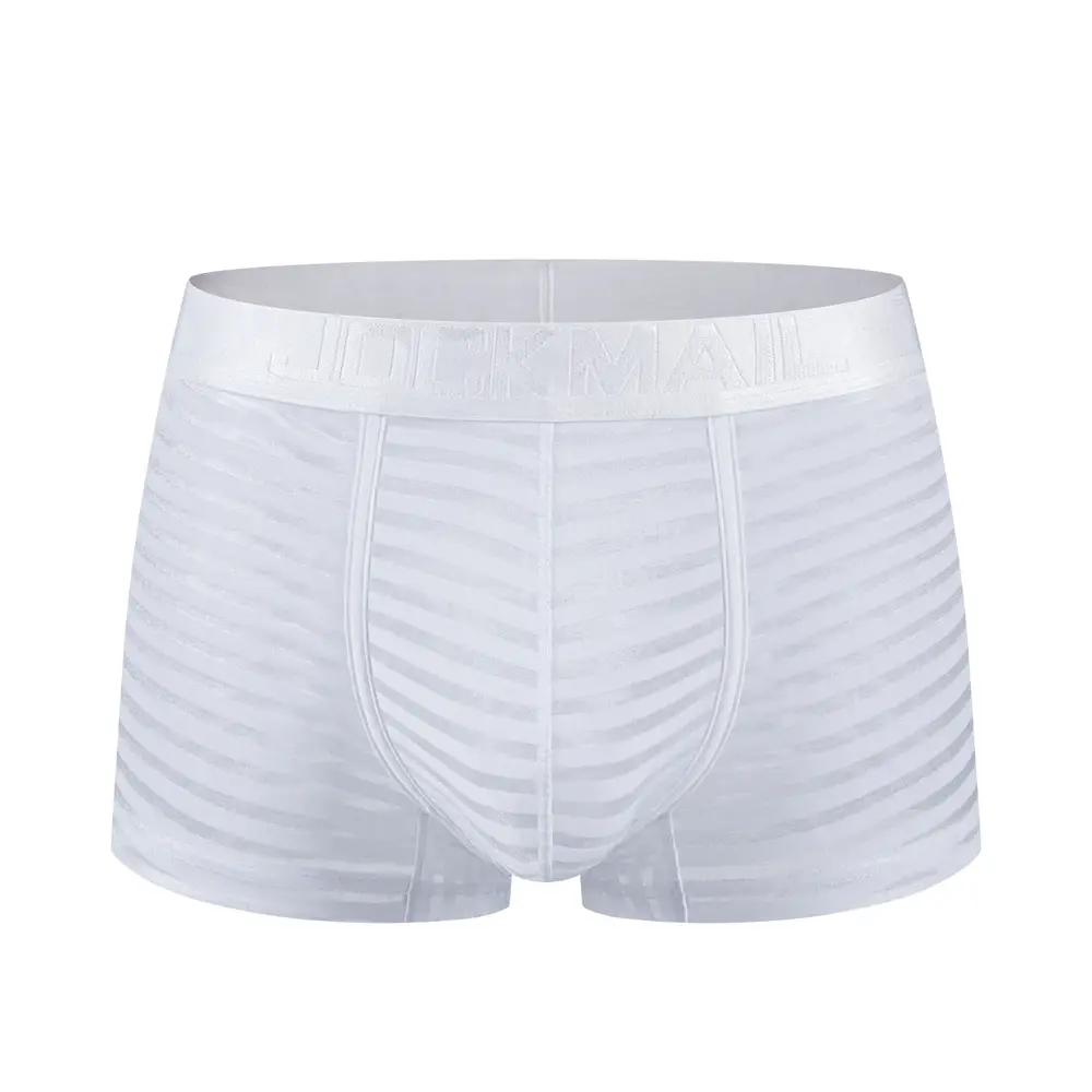 Sexy Men Underwear Boxer Shorts Transparent Mesh Underpants Trunks Men Panties Low Waist Nylon Breathable Quick Drying — image 15