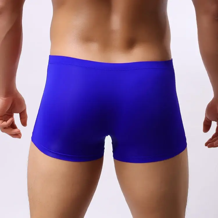Sexy Elephant Nose Boxers Men's Transparent Bulge Penis Pouch Gay Underwear Men Ultra-thin Ice Silk Panties Fetish Boxershorts — image 11