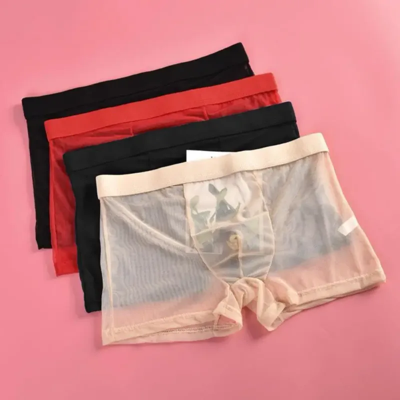 Bóxers transparentes para hombre, calzoncillos transparentes de malla Sexy, cintura baja, seda helada, bragas refrescantes finas, ropa interior para hombre