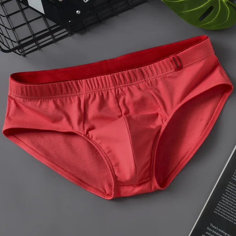 Men Briefs Solid Color Cotton Youth Briefs Waist Comfortable Sexy Explosion Trend Breathable Underwear Sissy Panties — image 13