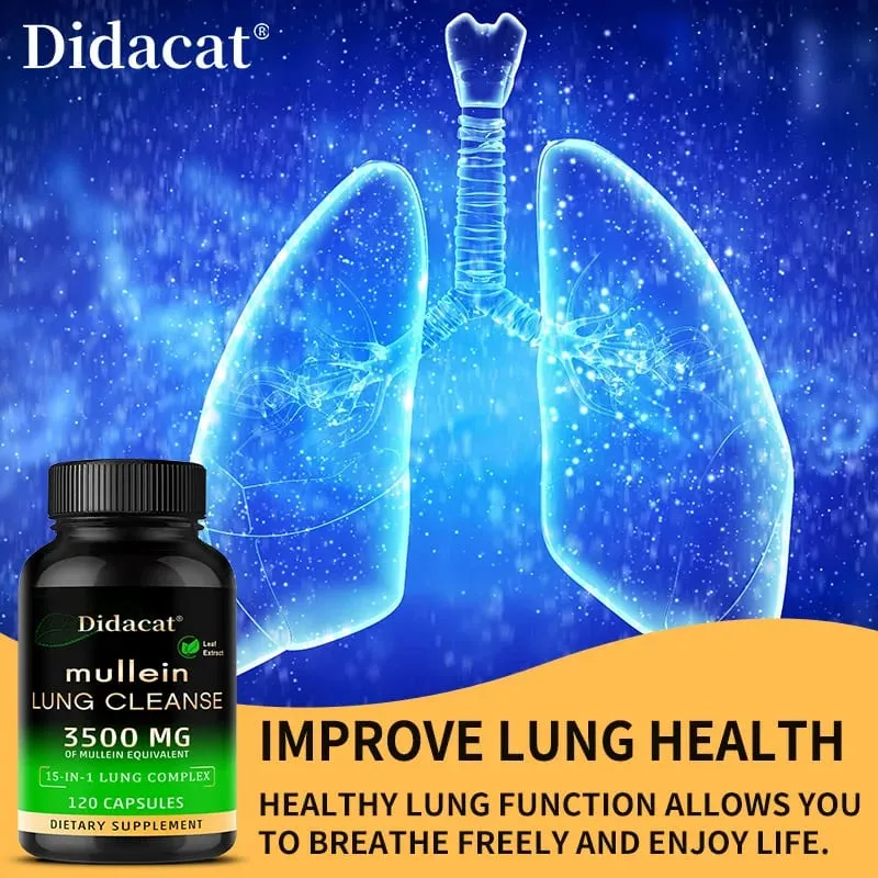 Mullein Leaf Extract Supplement Vitamin C Mineral Lung Cleansing Immune System Support 120 Capsules Health Supplement — image 5