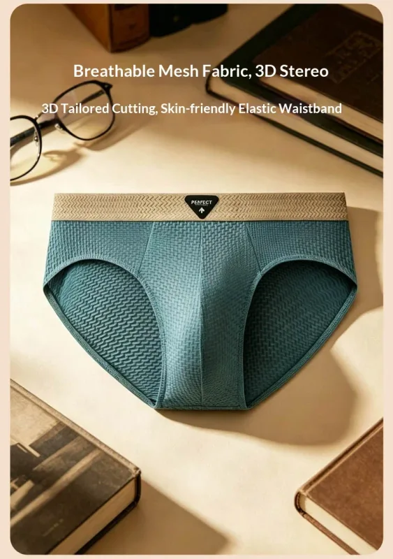 1Pcs Briefs Men Underwear Sexy Lingerie Male Panties Nylon Solid Underpants Breathable Cueca Causal Calcinha Wholesale Lots — image 10