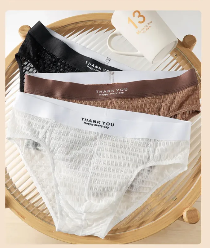 Transparent Mesh Underwear Male Ultra Thin Sheer Briefs Breathable Underpants Bulge Pouch Panties Soft Lingerie Low Rise Knicker