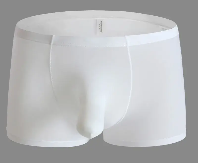 Sexy Elephant Nose Boxers Men's Transparent Bulge Penis Pouch Gay Underwear Men Ultra-thin Ice Silk Panties Fetish Boxershorts — image 1
