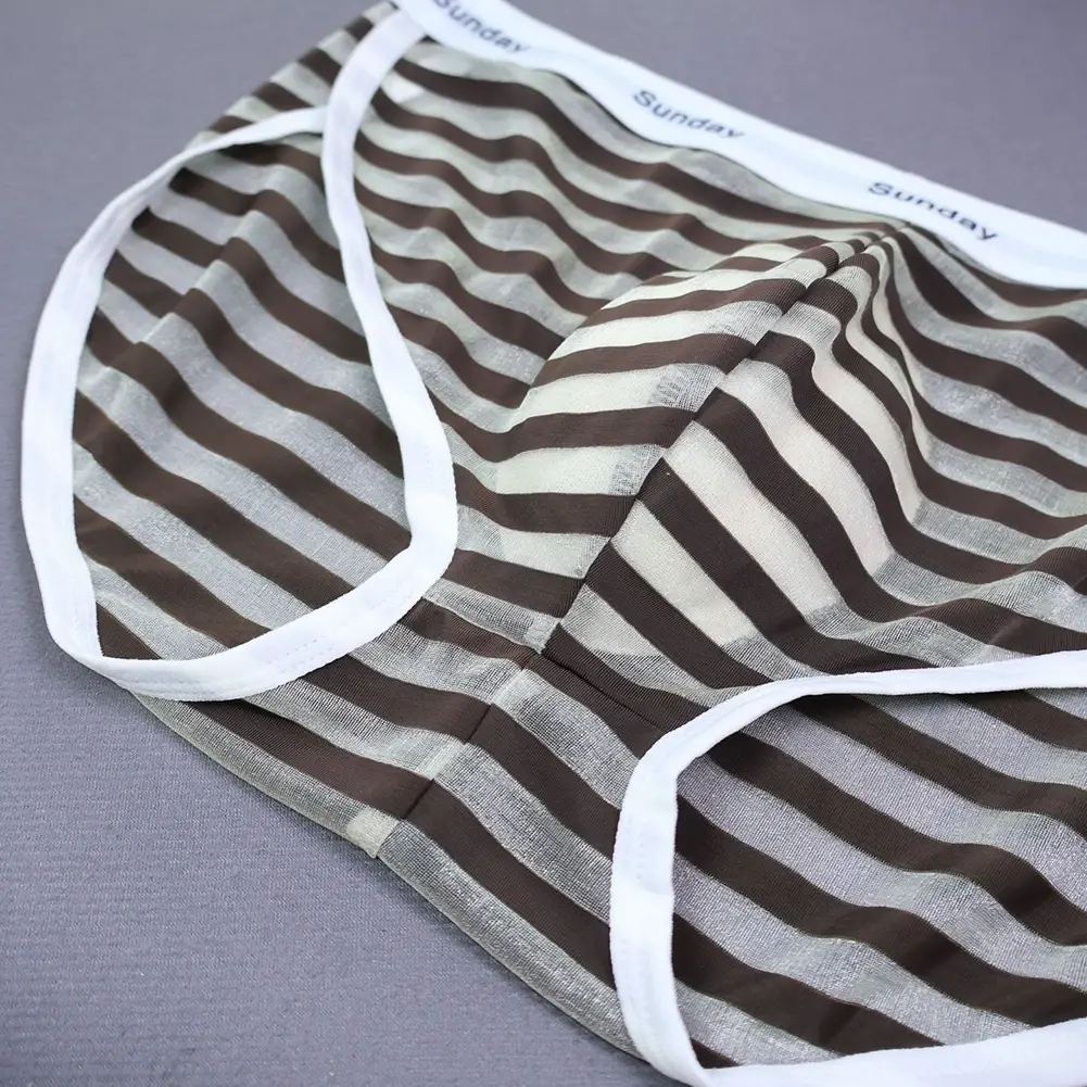 Men Casual Transparent Striped Mesh Briefs Side Fork Panties Shorts Breathable Pouch Man Comfortable Home Underwear
