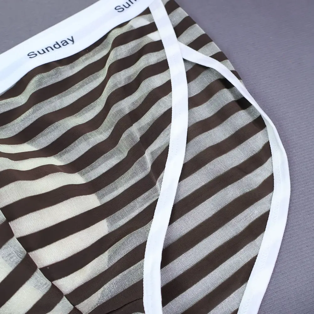 Men Casual Transparent Striped Mesh Briefs Side Fork Panties Shorts Breathable Pouch Man Comfortable Home Underwear