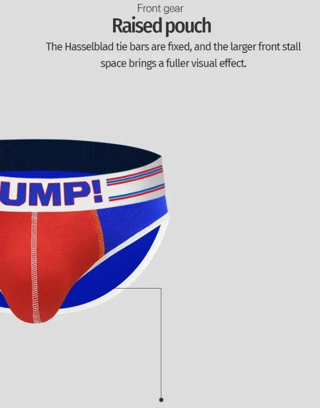 Men's Cotton Color Block Briefs, Pump! Logo Wide Waistband Low Rise Sexy 3D Convex Pouch Underwear 3256813080433415 — image 13