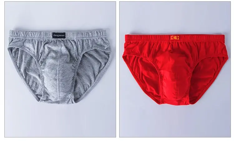 5Pcs/Lot Cotton Underpants for Men Briefs Male Underwear Knickers Panties Pant Shorts Sexy Undies in Sizes XL to 6XL — image 8
