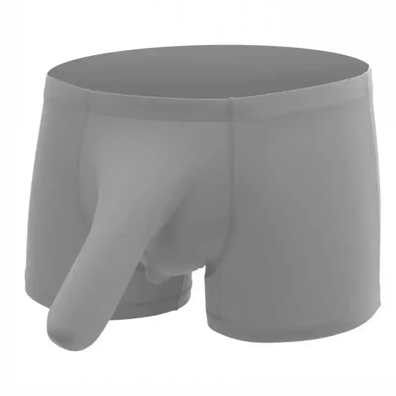 Sexy Elephant Nose Boxers Men's Transparent Bulge Penis Pouch Gay Underwear Men Ultra-thin Ice Silk Panties Fetish Boxershorts — image 8