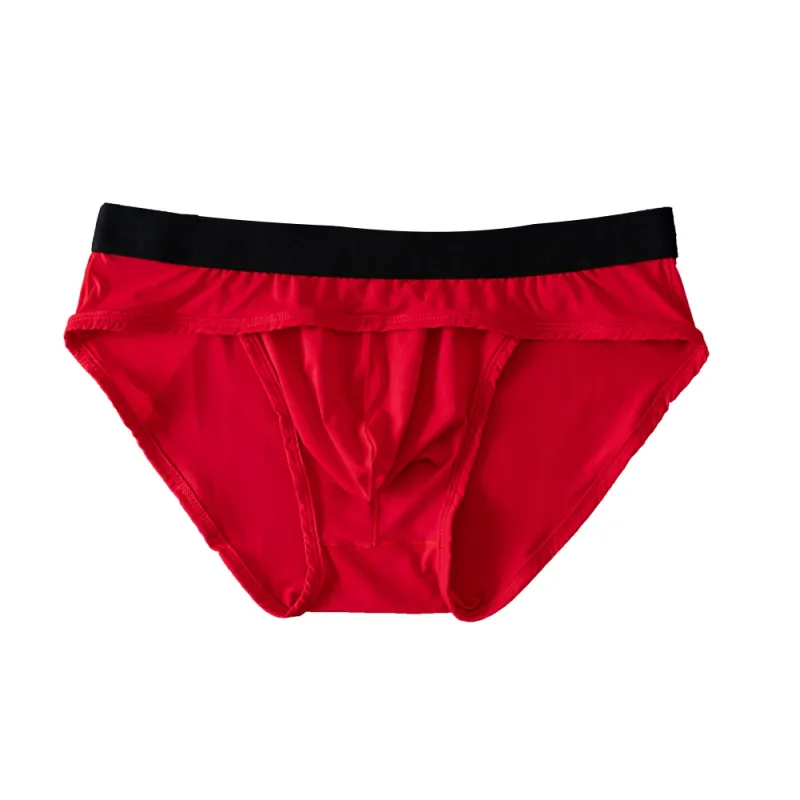 Men Underwear Briefs Underpants Nylon Mesh Quick Dry Men's Briefs Bikini Slip Men's Jockstrap Briefs Swim Swimwear Shorts D2017