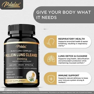 Mullein Lung Cleansing - Rökarens andningssupplement Vegetariska kapslar - Lungrensande Lunghälsa Immunitetstillskott
