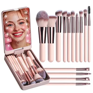 14 PCS Makeup Brush Set With Illuminated Mirror Portable Short Handle LED Light USB Rechargeable Makeup Brushes Kit