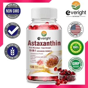 Astaxanthin 24mg – Antioksidan Berkuasa untuk Sistem Imun Kulit Mata – Formula 10-dalam-1 Lycopene Biji Anggur Vitamin E & Zink